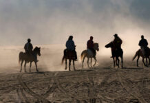 Cultural Dialogue Through Photography